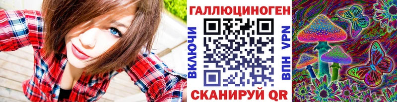 Псилоцибиновые грибы Cubensis где продают наркотики Тбилисская